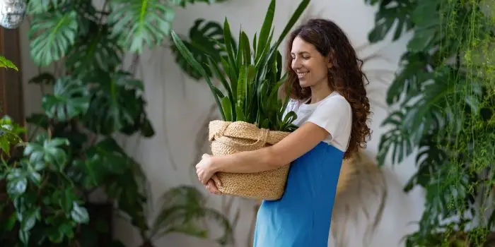 Customer Care Servizio per la gestione del credito