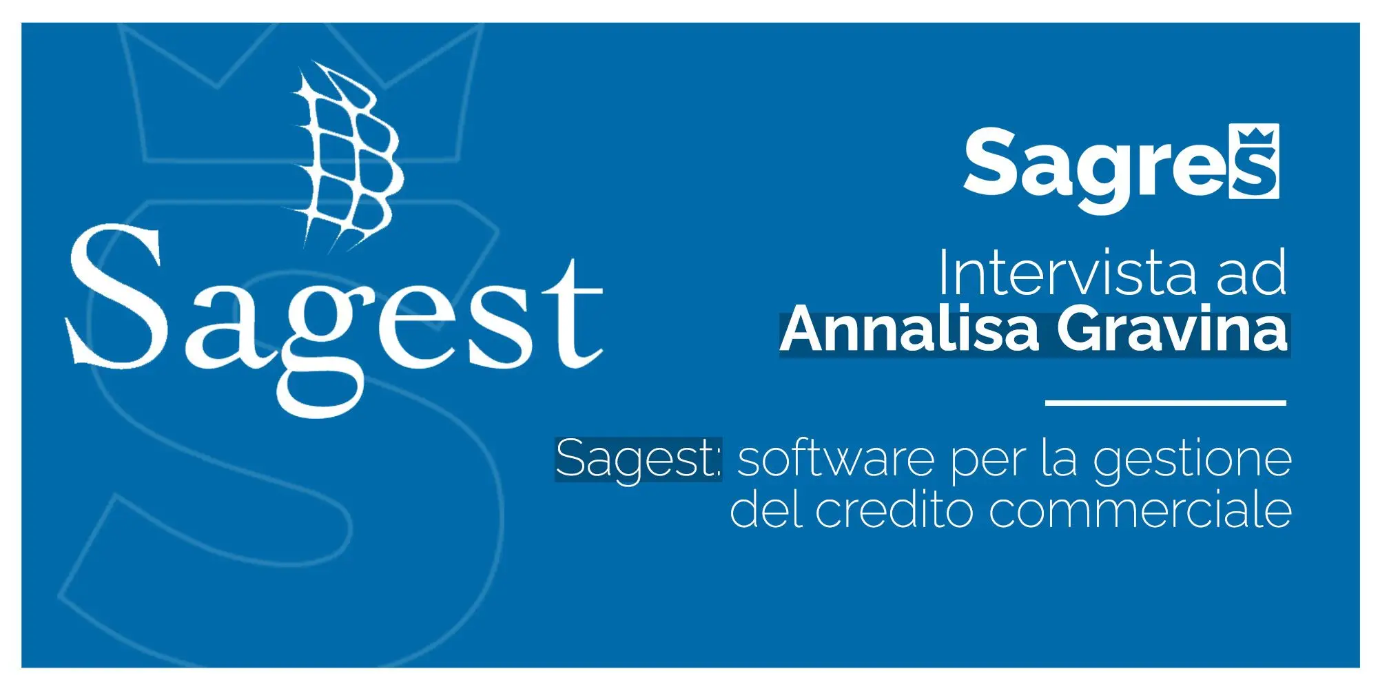 Sagest: software per la gestione del credito commerciale